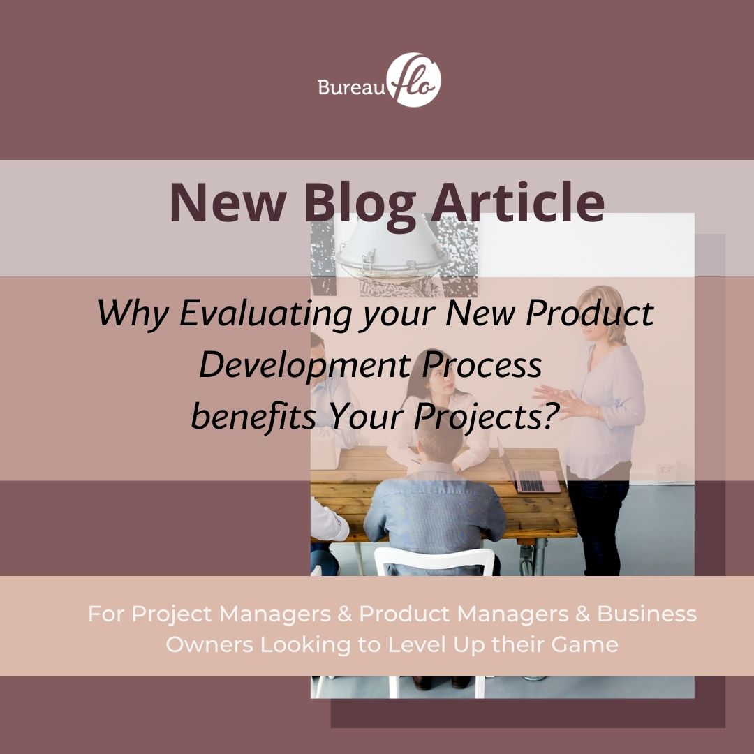 Why Evaluating Your New Product Development Process will benefit Your Projects