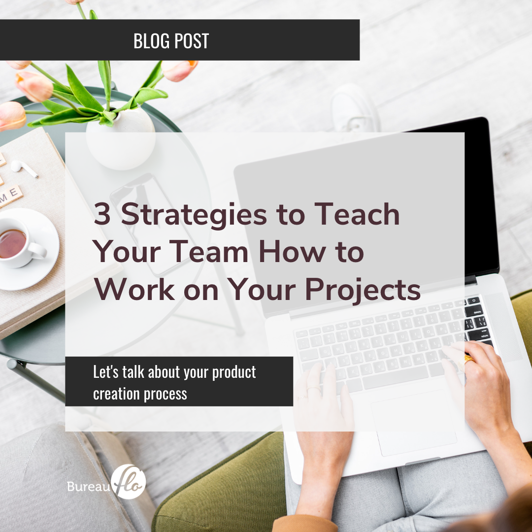 3 Strategies to Teach Your Team how to Work on Your Projects